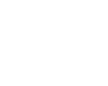 A.P.A.L